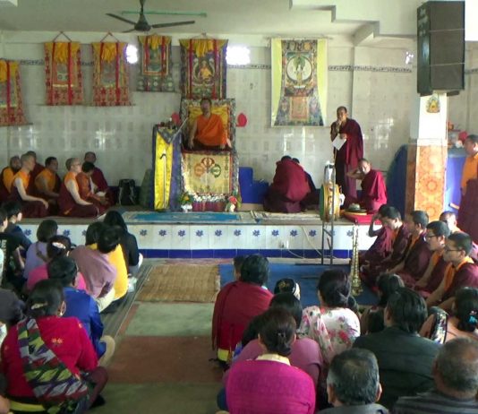 १ हजार भन्दा बढी बौद्धमार्गीले गरे अवतारी लामाको दर्शन