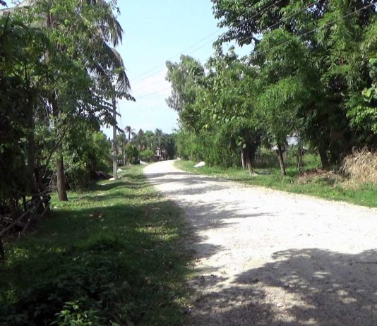 दक्षिण झापामा ४ वटा सडक एक साथ निर्माण शुरु हुने