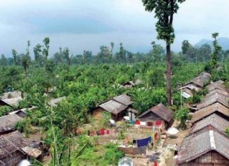 शरणार्थीलाई स्वदेश फिर्ती फारम भराइँदै