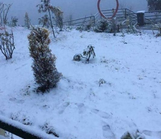 बर्षा र हिमपातपछि मौसम सुधारोन्मुख ( भिडियोसहित)