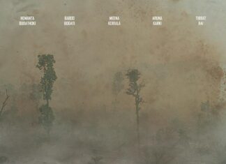 चलचित्र समिक्षाः-‘देश खोज्दै जाँदा’