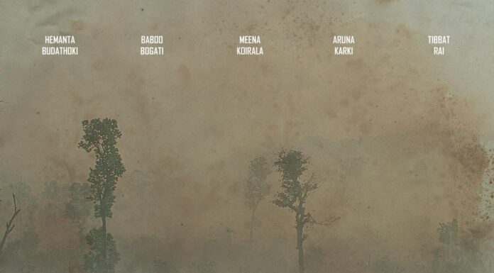 चलचित्र समिक्षाः-‘देश खोज्दै जाँदा’